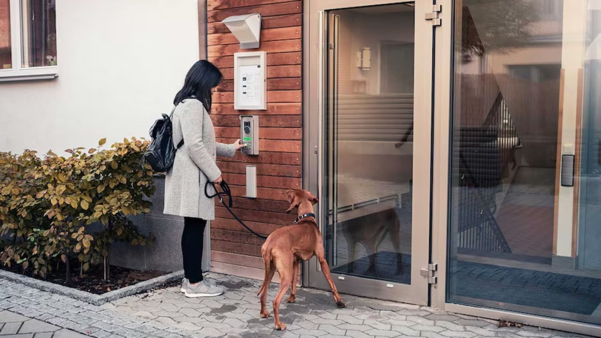 a lady with a dog showing apartment security tips for renters